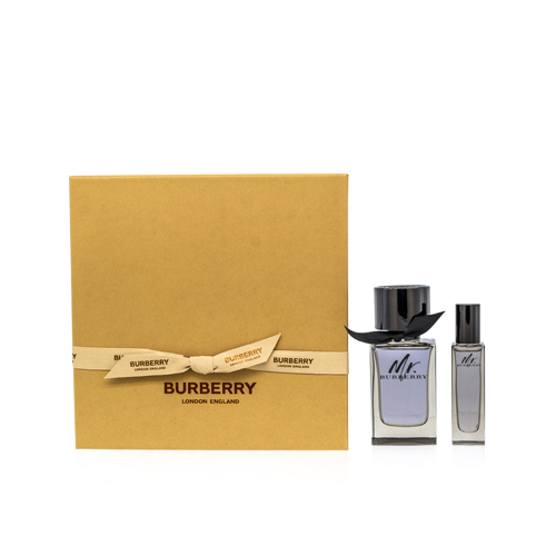 BURBERRY MR. BURBERRY/BURBERRY SET (M)