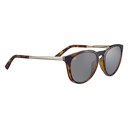 Serengeti Brawley Polarized Square Sunglasses, Shiny Tortoise, Medium - MegafashionSunglasses