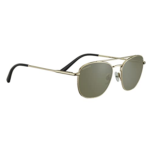 Serengeti Carroll Polarized Square Sunglasses, Shiny Light Gold, Medium - megafashion11Sunglasses