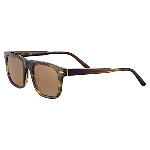 Serengeti Charlton Square Sunglasses, Shiny Tortoise, Medium - Large - MegafashionSunglasses