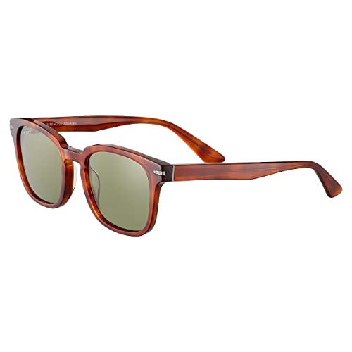 Serengeti Ethan Square Sunglasses, Shiny Classic Havana, Medium - megafashion11Sunglasses