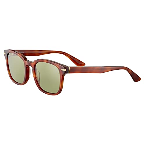 Serengeti Ethan Square Sunglasses, Shiny Classic Havana, Medium - megafashion11Sunglasses