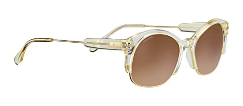 Serengetti Vinita Shiny Bold Gold Champagne Translucide AB2749 Acetate - MegafashionSunglasses